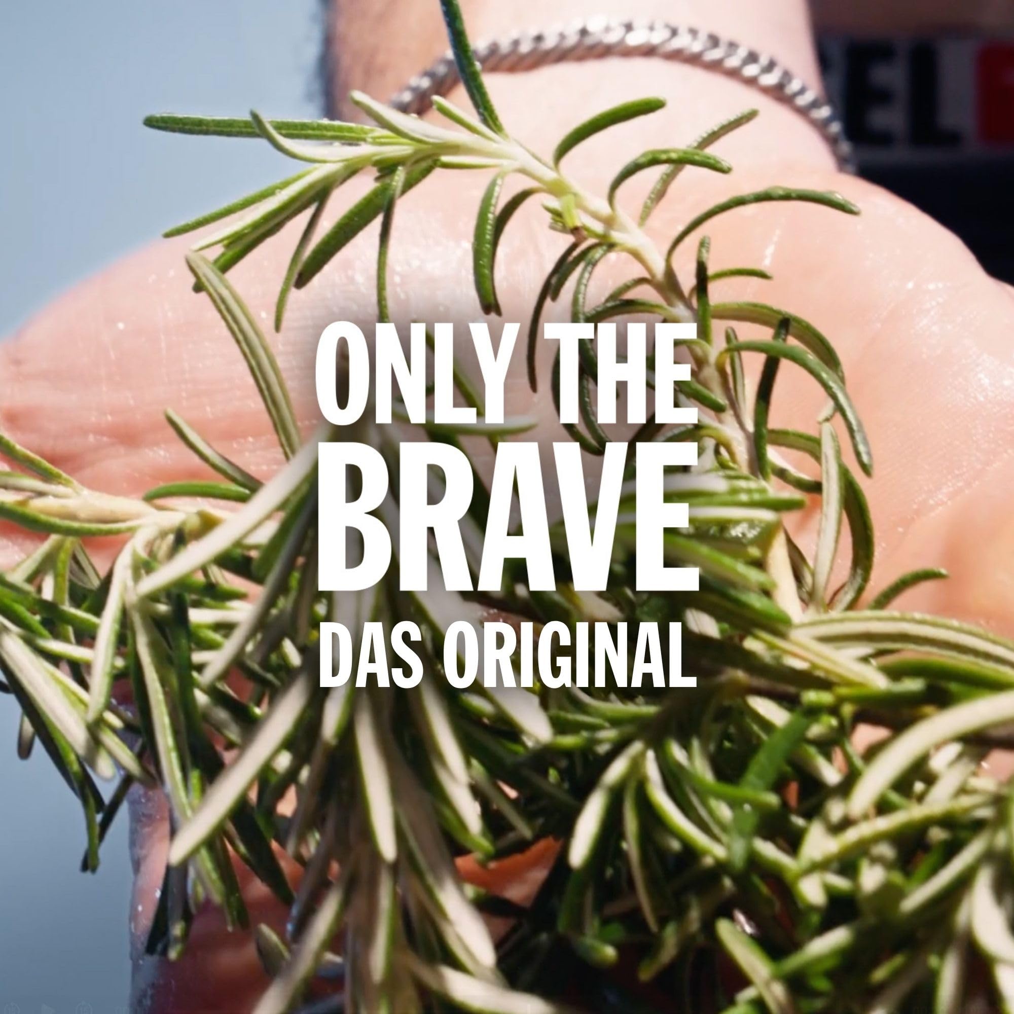 Diesel Only the Brave Eau de Toilette Herren, sportlich-markant 8