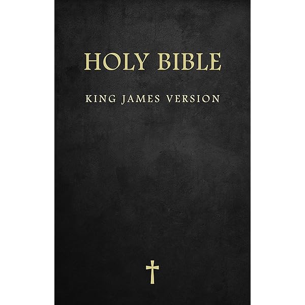 洋書 The HOLY BIBLE English standard version Holy Bible: English Standard Version (ESV) Anglicised Pew