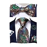 Hi-Tie Men Ties Bowtie Set Silk Necktie Bow Tie
