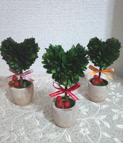 Amazon 観葉植物感覚 枯れない小さなハートの木 高さ約15cm リボンの色選べます プリザーブドグリーン 開店 新築祝 移転祝 結婚祝など オレンジ プリザーブドフラワー オンライン通販