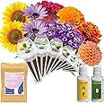 inbloom Fragrant Bouquet Seed Pod Kit for AeroGarden, iDoo, Ahopegarden, GARDENCUBE, 7 Pods (350+ Flower Seeds with Sunflower, Petunia, Mexican Marigold, Cockscomb, French Marigold, Dahlia)