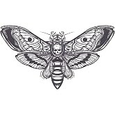 Creepy Black and White Moth with Skull Vinyl Decal Bumper Sticker (4
