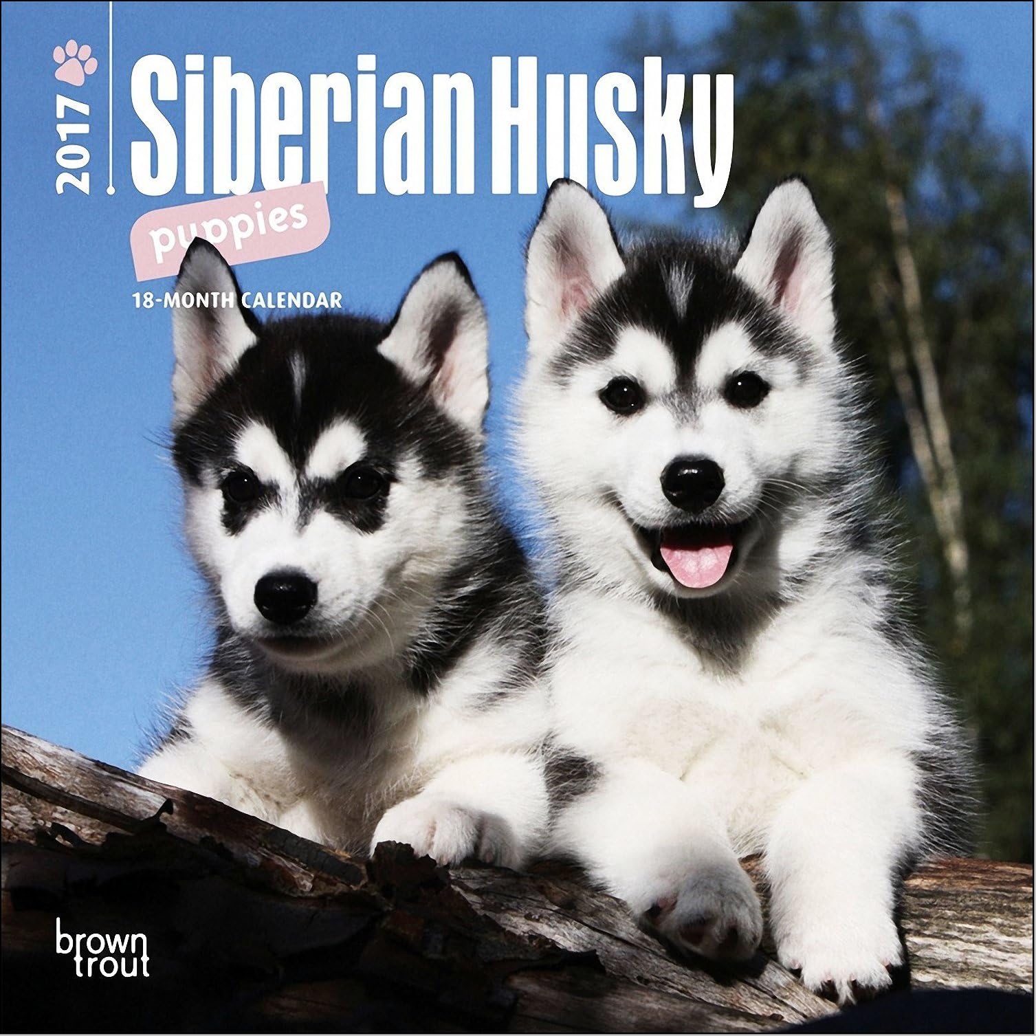 Siberian Husky Puppies Mini Calendar 2017 - Deluxe Small Wall Calendar (7x7)