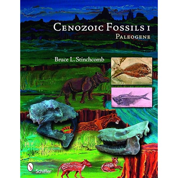 Age Old エイジオールドFrisko PnatsWhiteOxford 2 FOSSIL GIANT STEPPE BISON PRISCUS ICE AGE TEETH