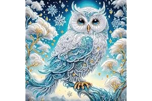 ZHUDENGXJL Special Shape Diamond Art Kits for Adults Beginners, 5D Diamond Painting Kits for Owl,DIY Gem Art Crystal Rhinestones Painting Kit for Adults Home Wall Decor 12 X 12inch
