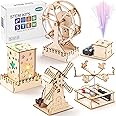 Stem Toys for Kids 8-10, 5 Individual DIY Science Kits, Wood Arts And Crafts Educational Building Toys for Kids Age 6 7 8 9 1