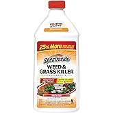 Spectracide Weed &amp; Grass Killer Concentrate for Driveways &amp; Walkways, 40 Oz | Kills Broadleaf Weeds &amp; Grasses Down To The Root, Use on Driveways, Walkways, Patios &amp; More, Visible Results in 3 Hours