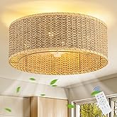 Boho Ceiling Fan with Light,Caged Ceiling Fan with Remote Control Reverible Blades,Low Profile 6 Speeds,Farmhouse Rattan Fand