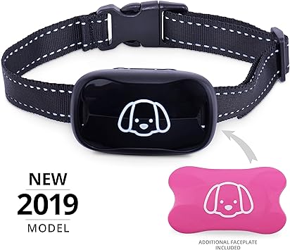 american staffordshire terrier hunting