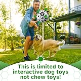 HETOO Interactive Dog Football Toy with Webbing 8 Inch Small Medium Breeds view 4