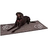 wellness complete senior