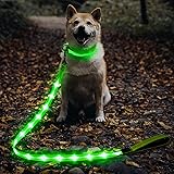 Illumifun Light Up Dog Leash, USB Rechargeable Glowing LED Dog Leash, Nylon Flashing Dog Leash for Night Walking (GreenⅡ)