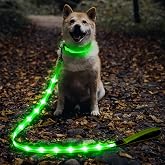 Illumifun LED Dog Leash, USB Rechargeable Glowing Light Up Dog Leash, Nylon Flashing Safety Pet Light for Night Walking (GreenⅡ)