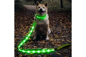 Illumifun LED Dog Leash, USB Rechargeable Glowing Light Up Dog Leash, Nylon Flashing Safety Pet Light for Night Walking (GreenⅡ)
