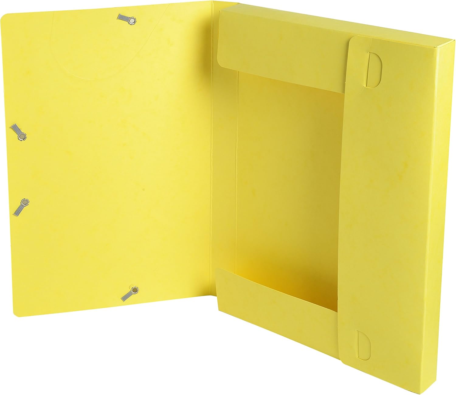Exacompta, Ref. 18500H, 1 CARTOBOX filing box with rubber bands, delivered flat, 2.5 cm spine, glossy card 5/10th, 400g/m²