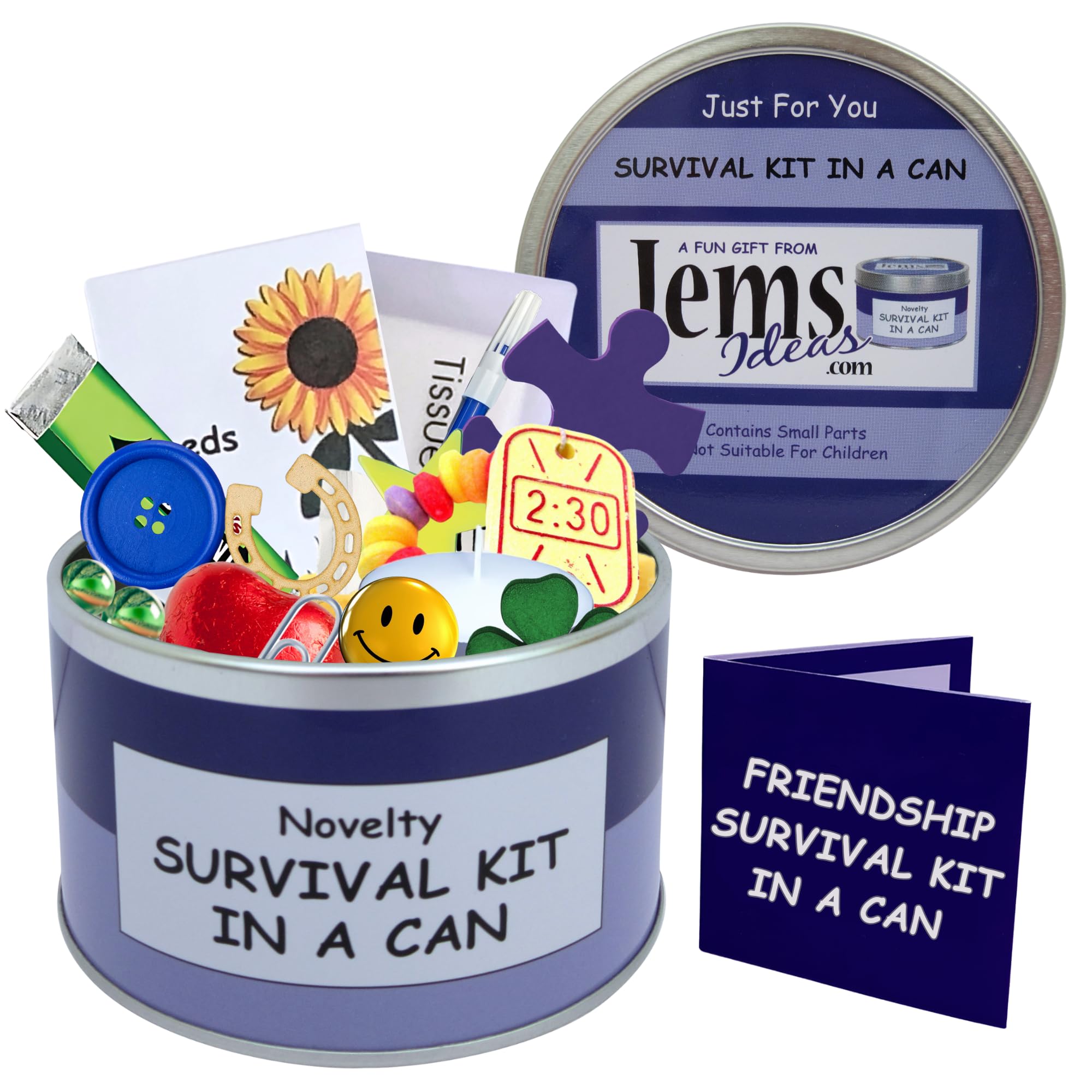 Friendship Survival Kit in a Can – Funny Gift for Best Friend – Unique Keepsake for Birthday, Christmas, Thank You, Just Because – Quirky Present for Him or Her (Purple/Lilac)
