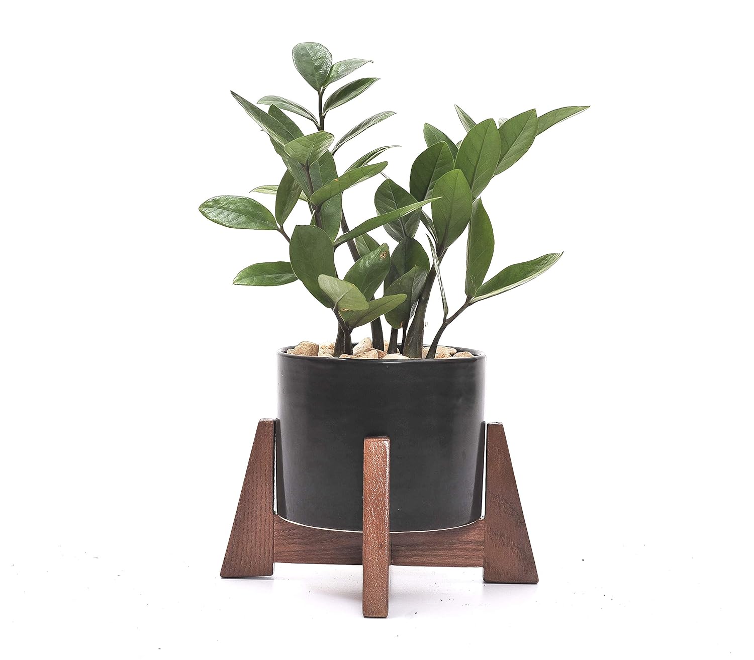 Best contemporary coffee table with planter