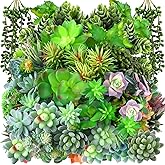 Tigeen 80 Pcs Artificial Plastic Succulents Realistic Textured Assorted Decorative Faux Succulent Fake Faux Succulents Unpotted for Lotus Landscape Garden Arrangement (Lovely Style)