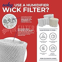 2-Pack Air Filter Factory Replacement For Sunbeam