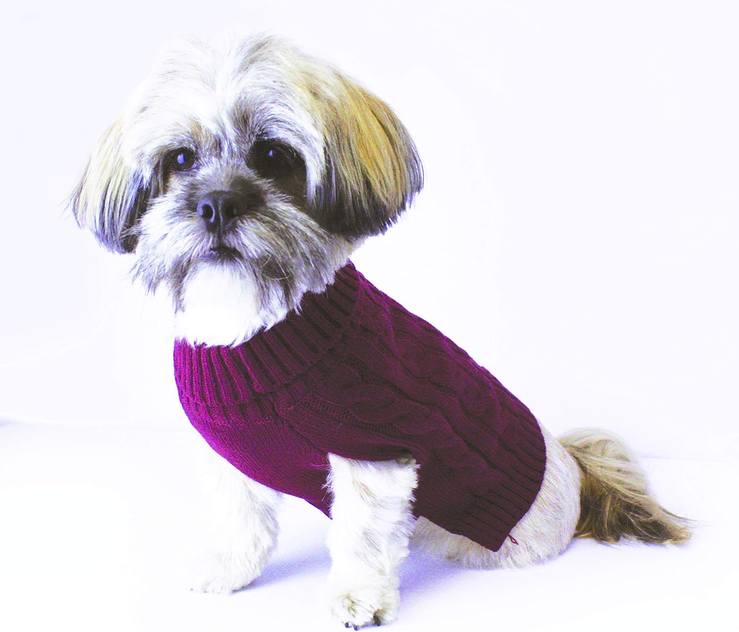 Buster & Beau Luxury Charlton Cable Knit Dog Jumper in Deep Berry Soft Warm Comfortable Fit Outdoor Indoor Easy to Wear Pet Sweater for All Breeds - Image 4