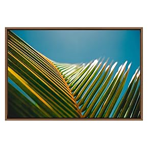 SIGNWIN Framed Canvas Wall Art Closeup of a...