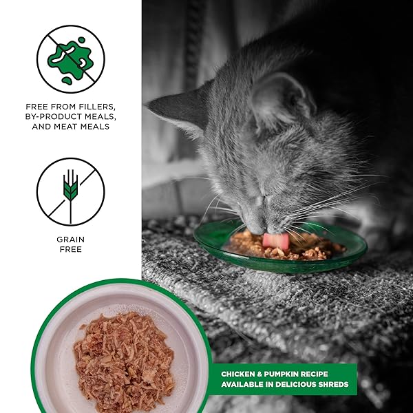 BIXBI LIBERTY CANNED WET CAT FOOD – GRAIN FREE, CHICKEN AND PUMPKIN RECIPE IN BROTH, 2.75 OUNCE (PACK OF 24)