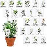 FYSUIMU 20Pcs Acrylic Plant Label Signs 20 Styles Garden Herb Markers Plant Stake Tags White Waterproof Tags with Herb Names for Nursery Indoor Outdoor Garden Decor