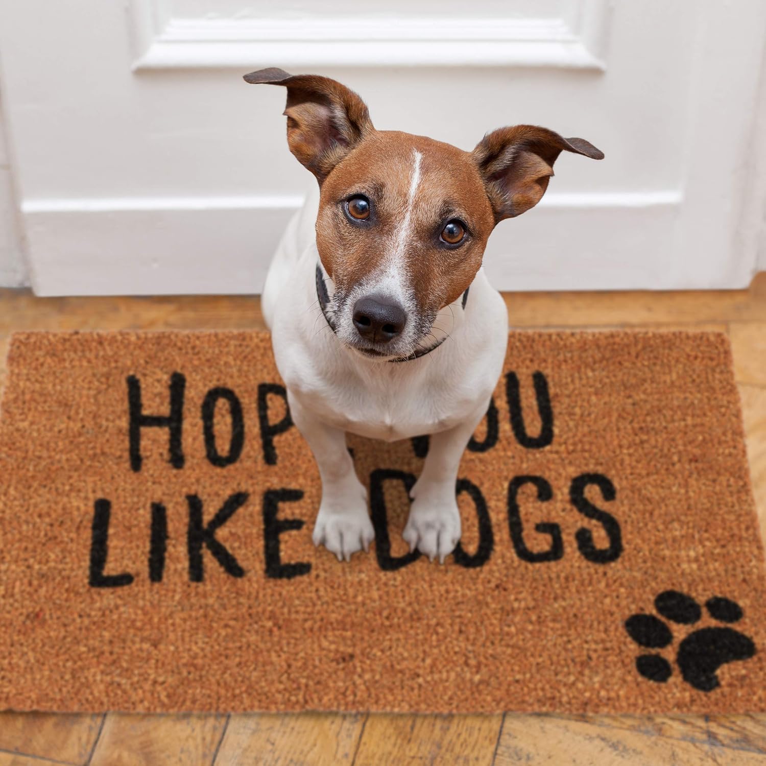 Relaxdays Doormat with Slogan, Hope You Like Dogs, Animal Theme, Coconut Fibres, Outdoors, Indoors, Welcome Mat 40x60cm - Image 4