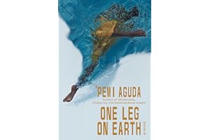 One Leg on Earth: A Novel