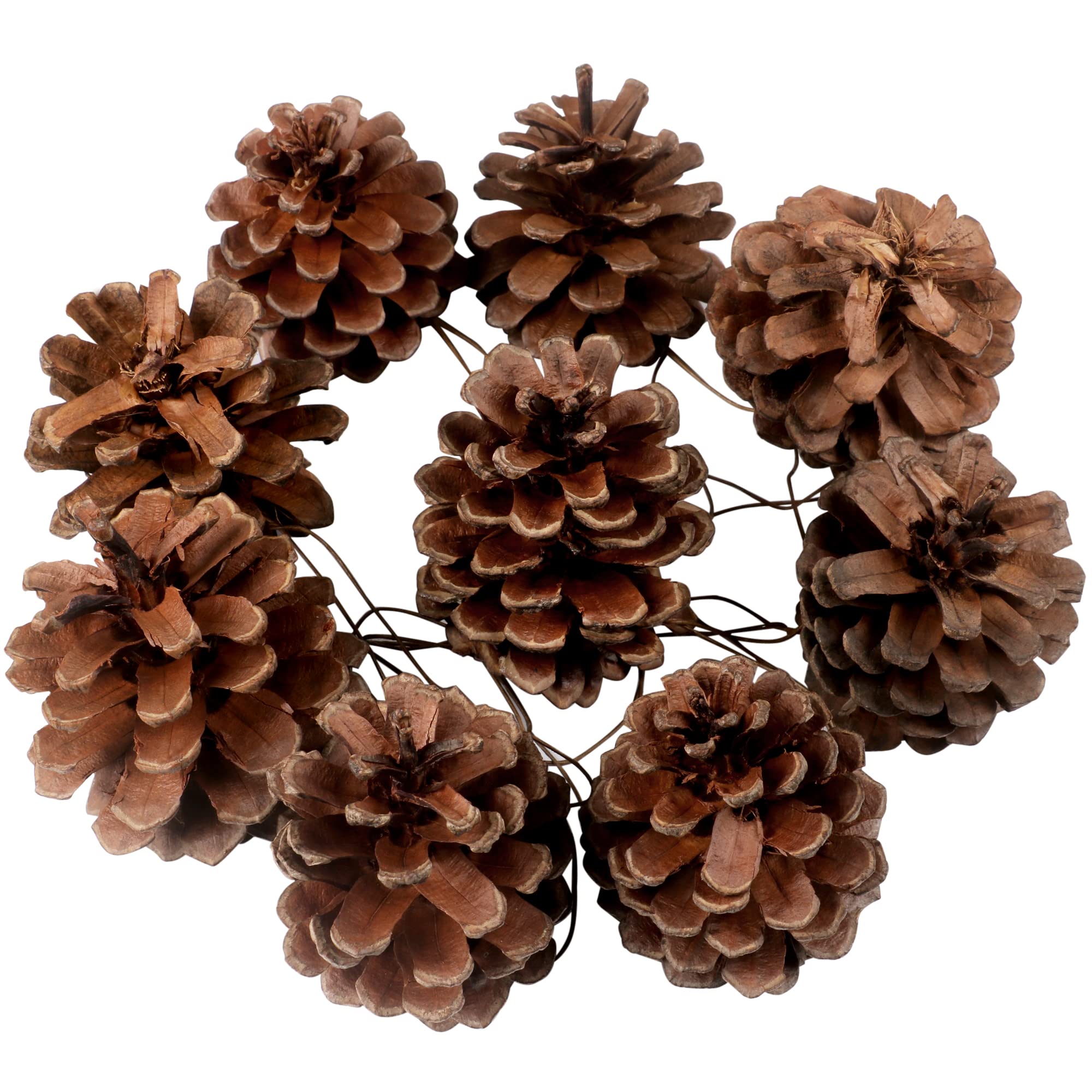 TRIXES Pack of 9 Decorative Hanging Pinecone Christmas Tree Decorations