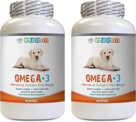 is white chocolate ok for dogs