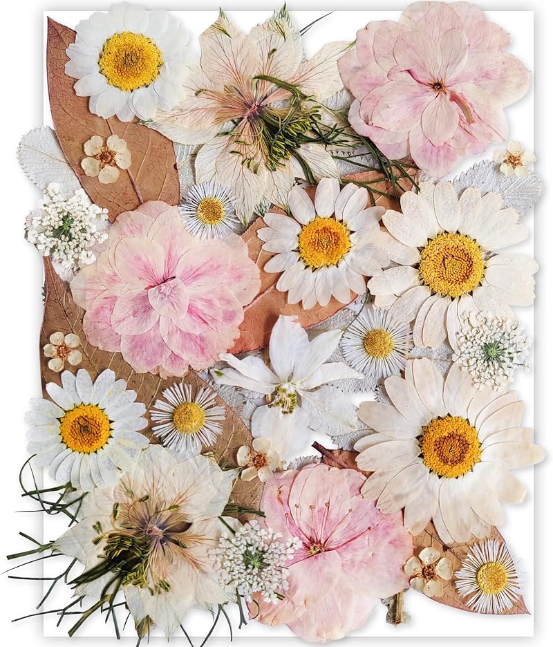 YoothBro White Dried Pressed Flowers for Resin Molds DIY Art Crafts