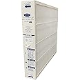 Genuine Bryant / Carrier Air Filter GAPBBCAR2025/GAPCCCAR2025
