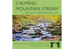 Calming Mountain Stream - Babbling Brook Nature Recording - Brings You Relaxation And Sleep - Nature's Perfect White Noise