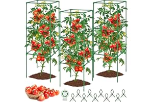 WLLEYAY 3 Pack Tomato Cages, Square Tomato Plant Stakes Support Cages Trellis, 50 * 17 * 17in Heavy Duty Steel Plant Tower Stakes Cucumber Trellis for Garden Climbing Vegetables Flowers Fruits, Bold