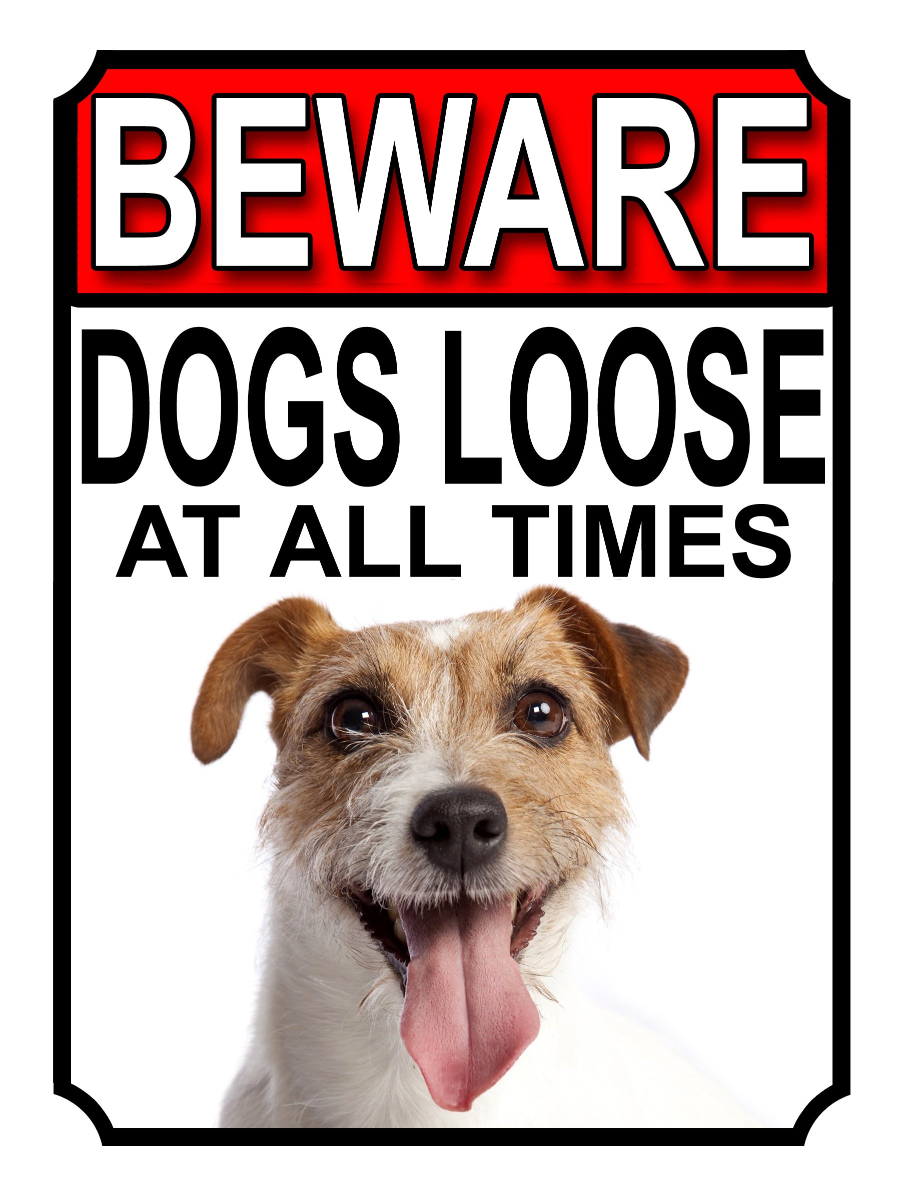 SHAWPRINT BEWARE DOGS LOOSE AT ALL TIMES METAL SIGN JACK RUSSEL 200MM X 150MM (1008H1)