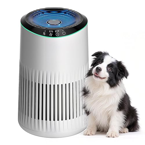 Operan Air Purifier Allergy Home Bedroom Office, HEPA Air Filter Smoke Pet Scale odor 0.3µm Sleep Mode Blue Ambient Light Strip Scented Sponge 22dB MR2566 White, 1 Pack+3 Modes