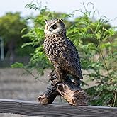 RKGOMDMU 13.3 - inch Owl Decoy Decor Outdoor Statue. Ideal for Animal Statues Courtyard Lawn Decoration, Sculptures for Yard and Grassland Adornment, Housewarming Gift.