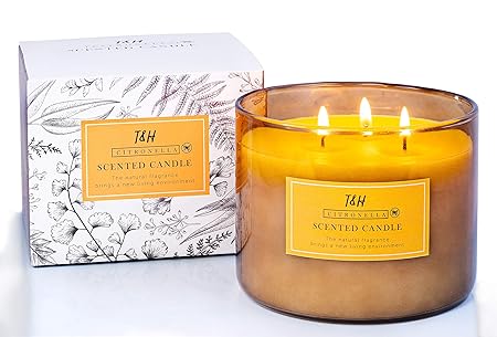 T H Citronella Candle Scented Soy Wax 3 Wicks 1 Lb Giant
