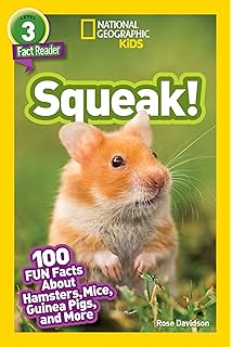 homemade for hamsters