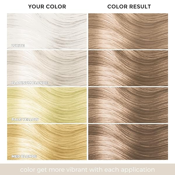 LUXECOLORS HAIR DYE SHAMPOO FOR GRAY COVERAGE 3 IN 1 HAIR COLOR SHAMPOO NATURAL 16.9 FL OZ FOR WOMEN & MEN (LIGHT BROWN)