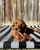 Nylabone Gentle Puppy Teething Chew Toy Bone Chicken Small Up to 11 kg view 2