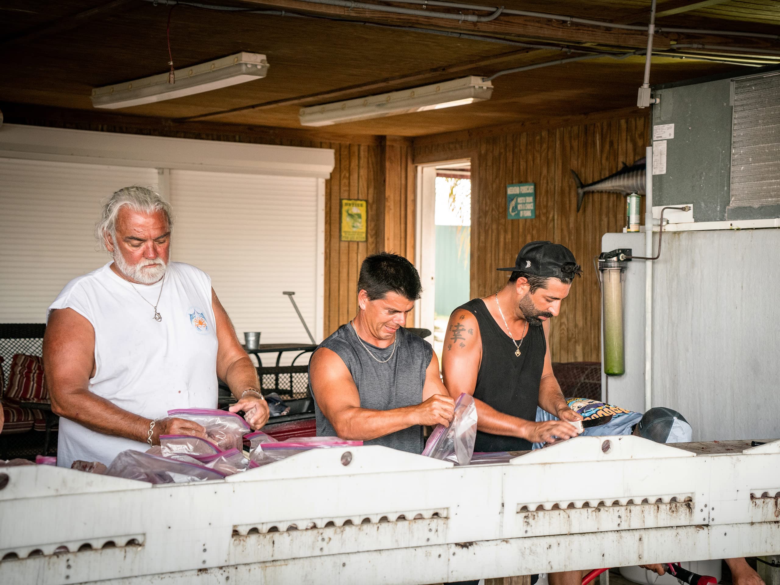 Watch Deadliest Catch Bloodline Season 3 Prime Video