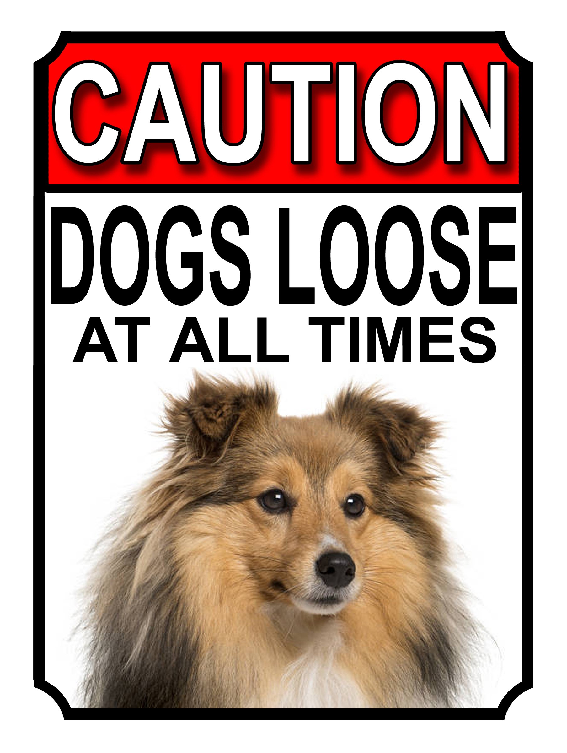 CAUTION DOGS LOOSE AT ALL TIMES METAL GATE SIGN SHETLAND SHEEPDOG 200MM X 150MM (1216H1) — image 1