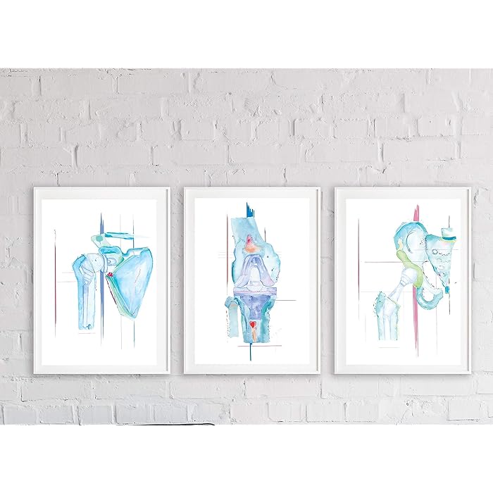 Buy Orthopedic Surgery Anatomy Print Set, Physical Therapy and