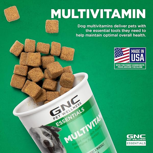 GNC PETS ESSENTIALS DOG MULTIVITAMIN SOFT CHEWS WITH SALMON OIL, BACON FLAVOR DAILY VITAMIN AND MINERAL SUPPLEMENT FOR PUPPIES, ADULT AND SENIOR DOGS, SKIN COAT AND IMMUNE SUPPORT, 60 COUNT