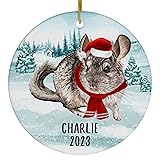 Santa Hat and Scarf Welcome Winter Gray Chinchilla