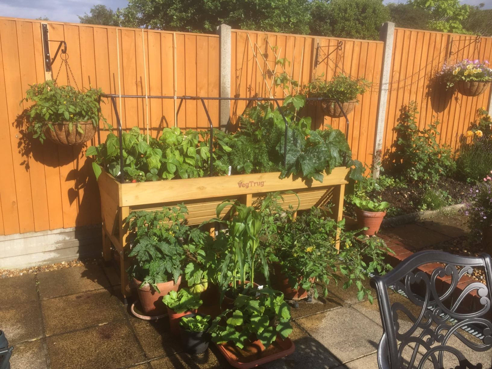 Veg Trug Planter Raised Bed Frame Cover 1.8M Trough Garden 