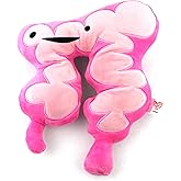 I Heart Guts | Colon Plushie You Move Me Organ Stuffed Toy, Pillow, Surgery Recovery, Get Well, Cancer Support, Funny IBS IBD Colitis Humor