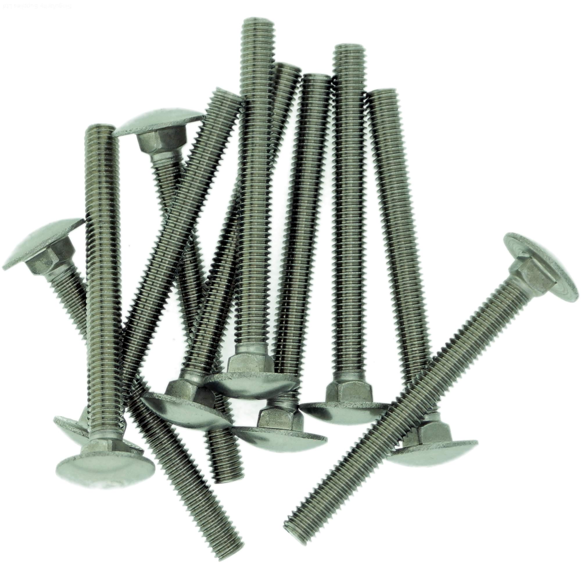 M6 (6mm x 55mm) Cup Square Carriage Bolt (Fully Threaded) - Stainless Steel (A2) (Pack of 10)